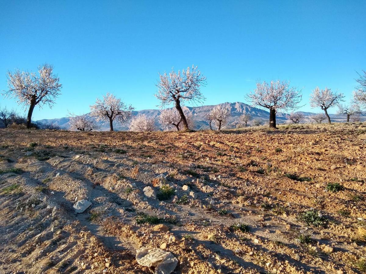 Cortijo La Estrella Leilighet Vélez Rubio Eksteriør bilde